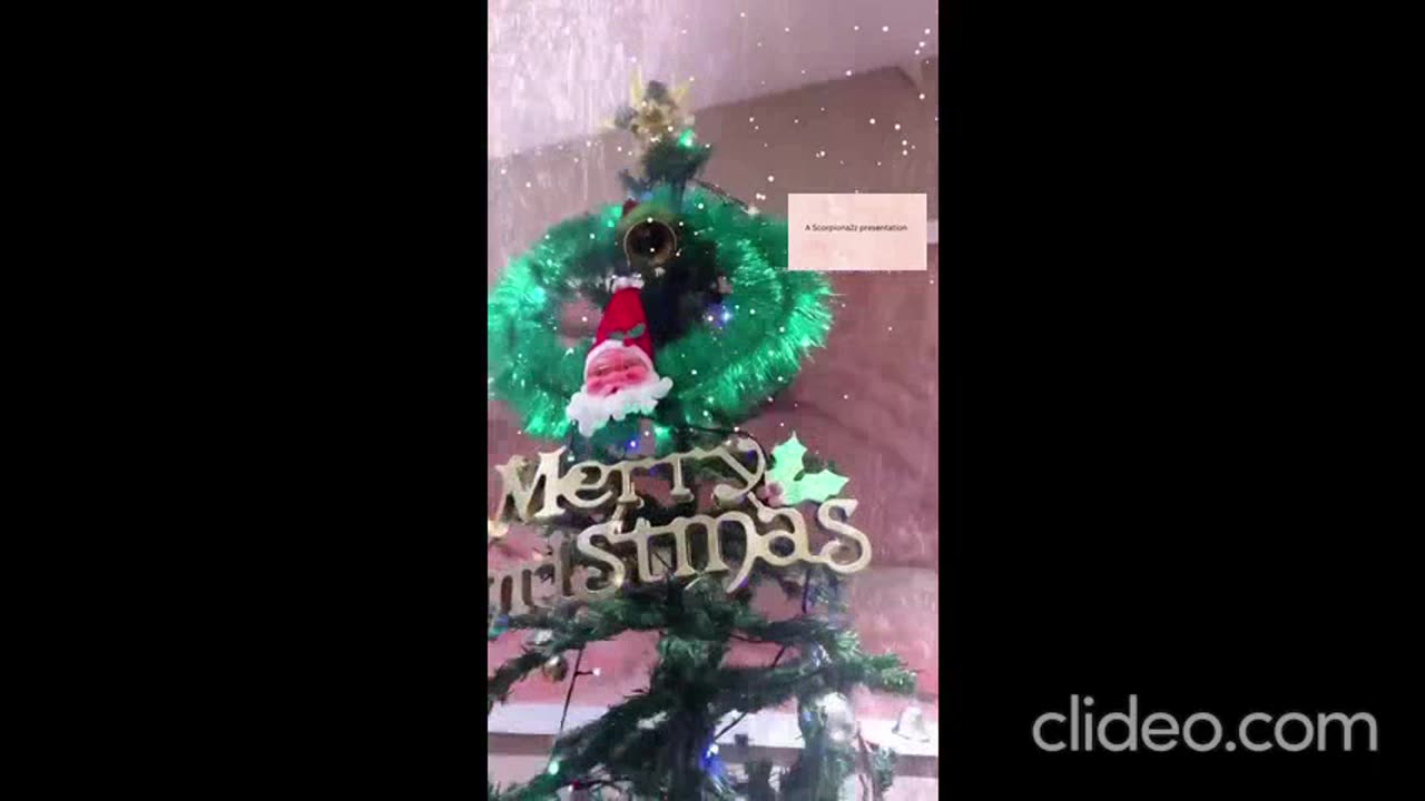 A look at one christmas tree