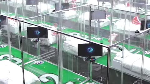 Shockingly Revealed The Surprising Challenge Trapping 100 People in Glass Cubes