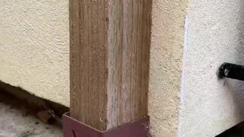 The girl's voice was very low.