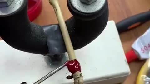 This is a beautiful and charming water-dwelling species