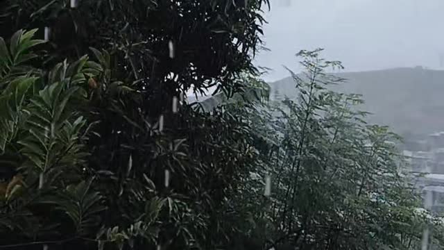 Rainy Day in POM
