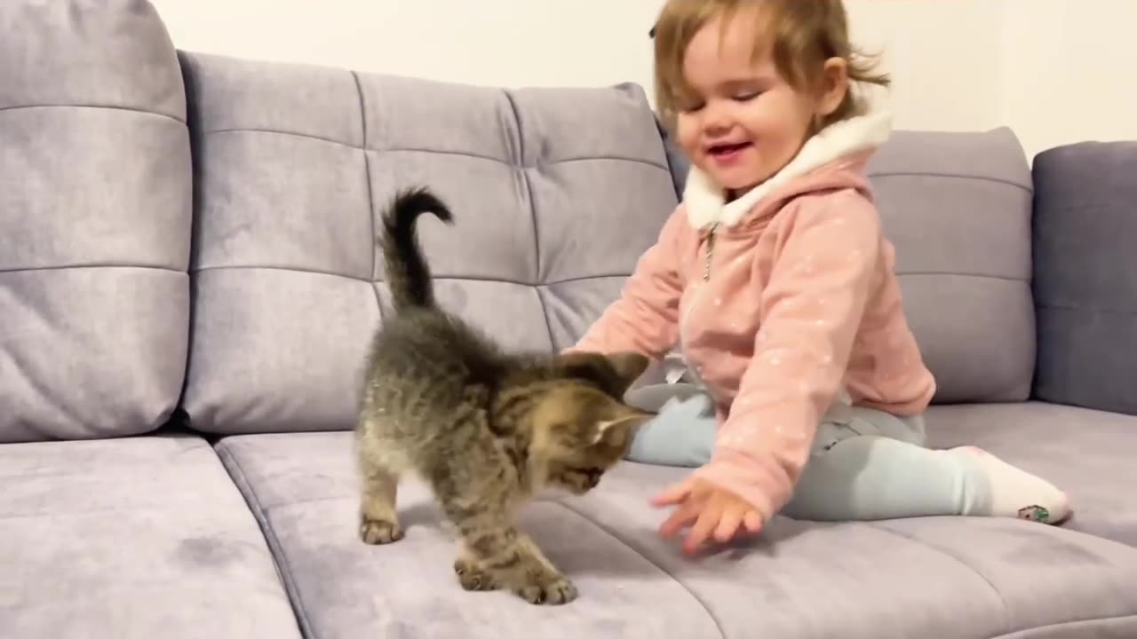 Cute baby meets new member