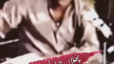 Phulan jeha dill tera -song status❤️