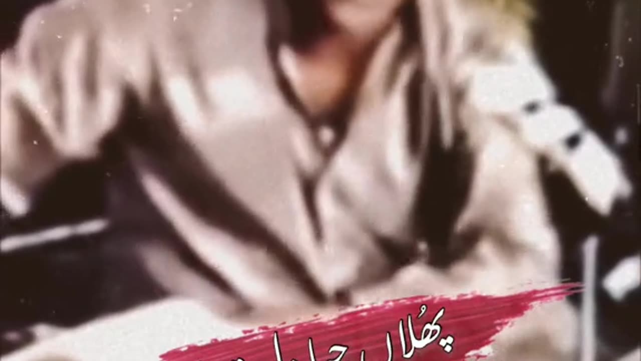 Phulan jeha dill tera -song status❤️