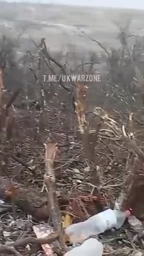 Overview of the location after the battle.