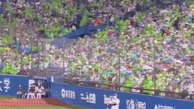 🌹Japanese baseball crowds 🌹