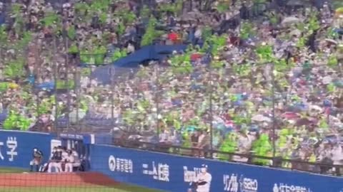 🌹Japanese baseball crowds 🌹