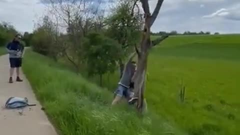 Men Fall Down While Attempting To Break Tree On Roadside