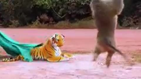 Animal: Monkey gets scared by a fake-stuffed tiger