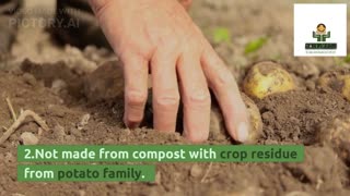 Planting irish Potatoes the easy way