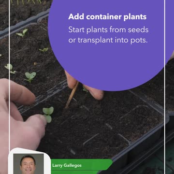 Under $100 Home Upgrades