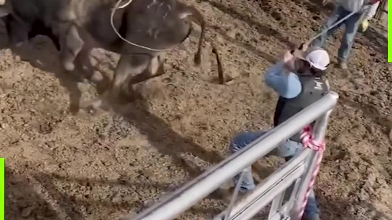 Funny video