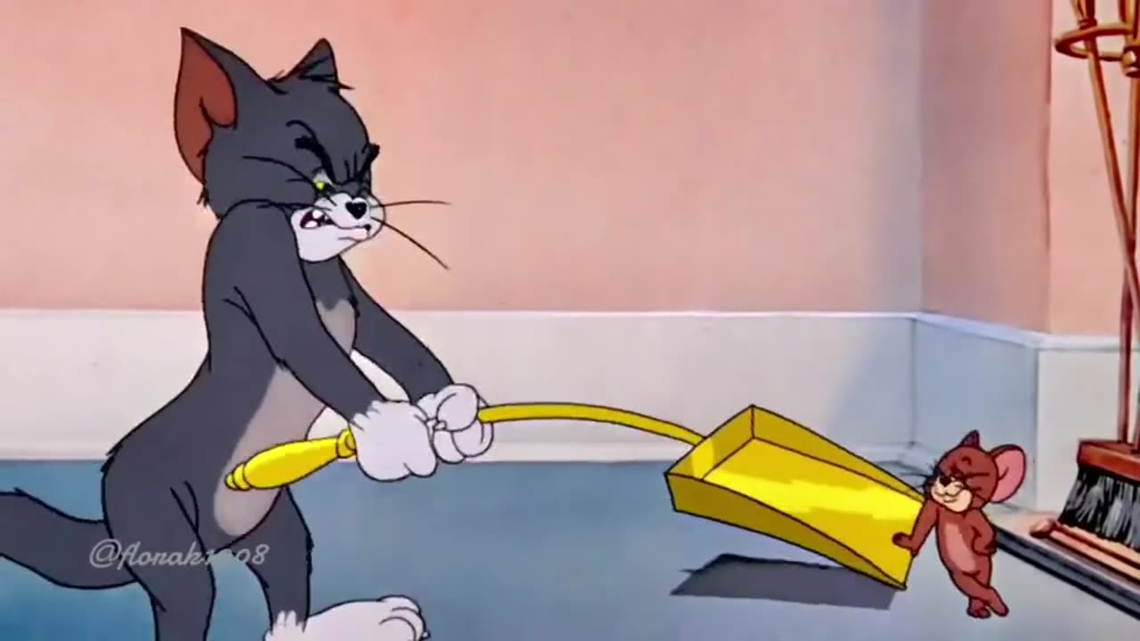 Tom and Jerry😼🐭😼🐭😼🐭😼🐭😼🐭😼🐭