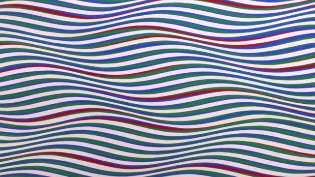 UK artist Bridget Riley’s work debuts in Chicago