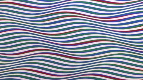 UK artist Bridget Riley’s work debuts in Chicago