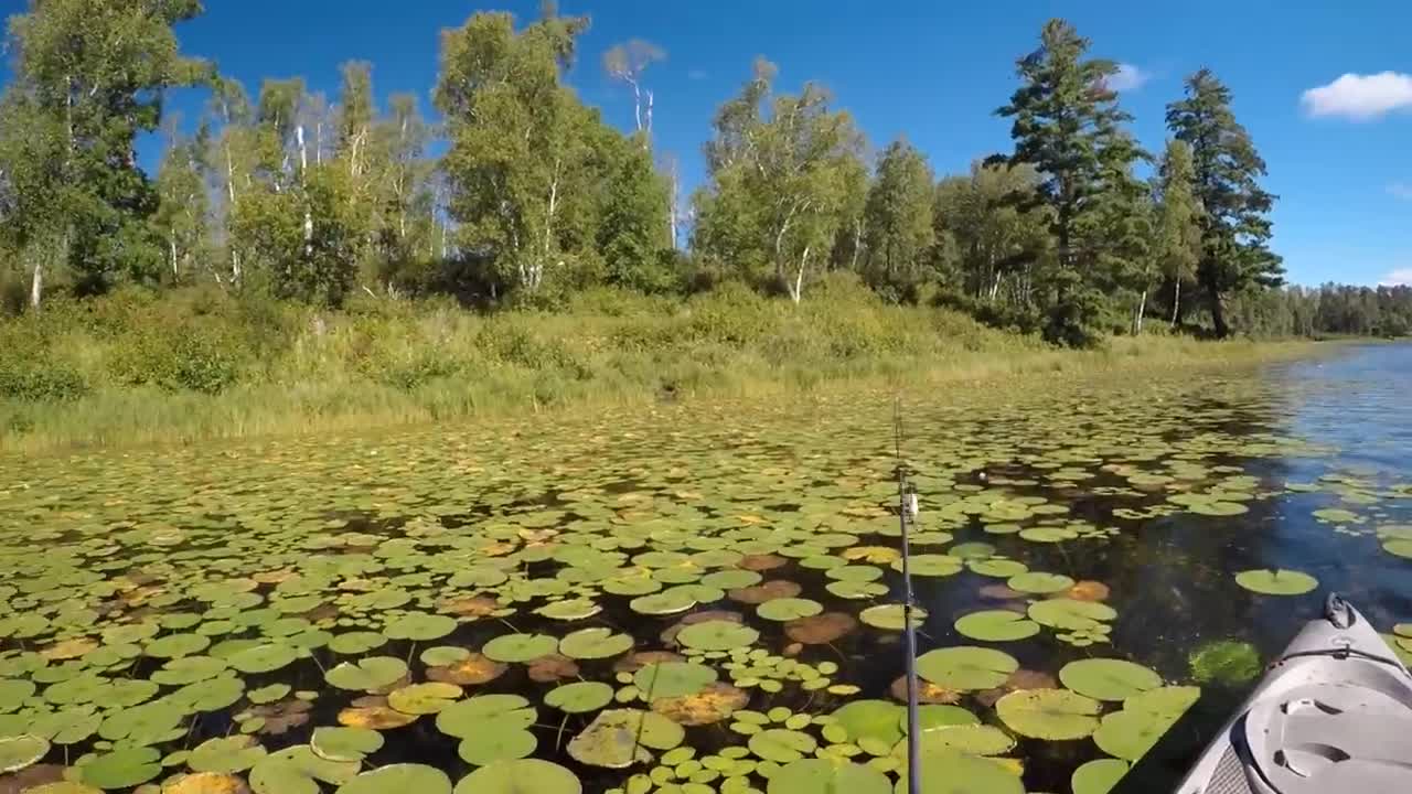 A Relaxing Day Of Frog Bassin'-1