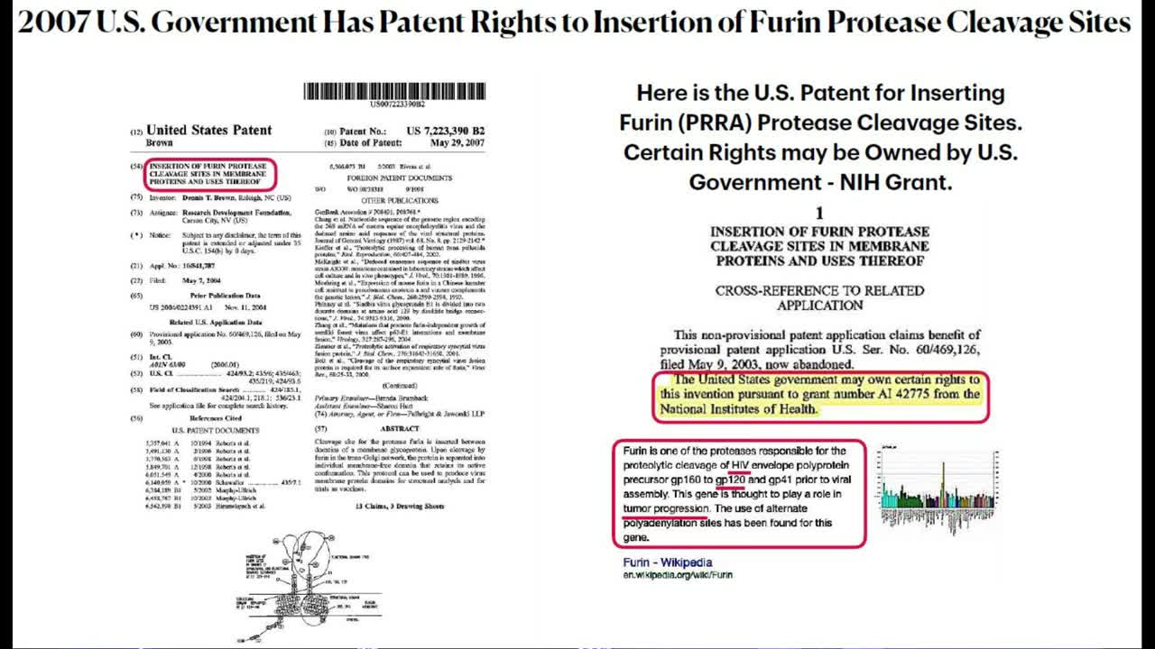 Dr. Richard Fleming PHD, MD, JD - Explains the virus, HIV inserts, and gain of function