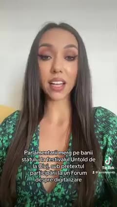 Parlamentarii merg pe banii statului la festivalul Untold de la Cluj