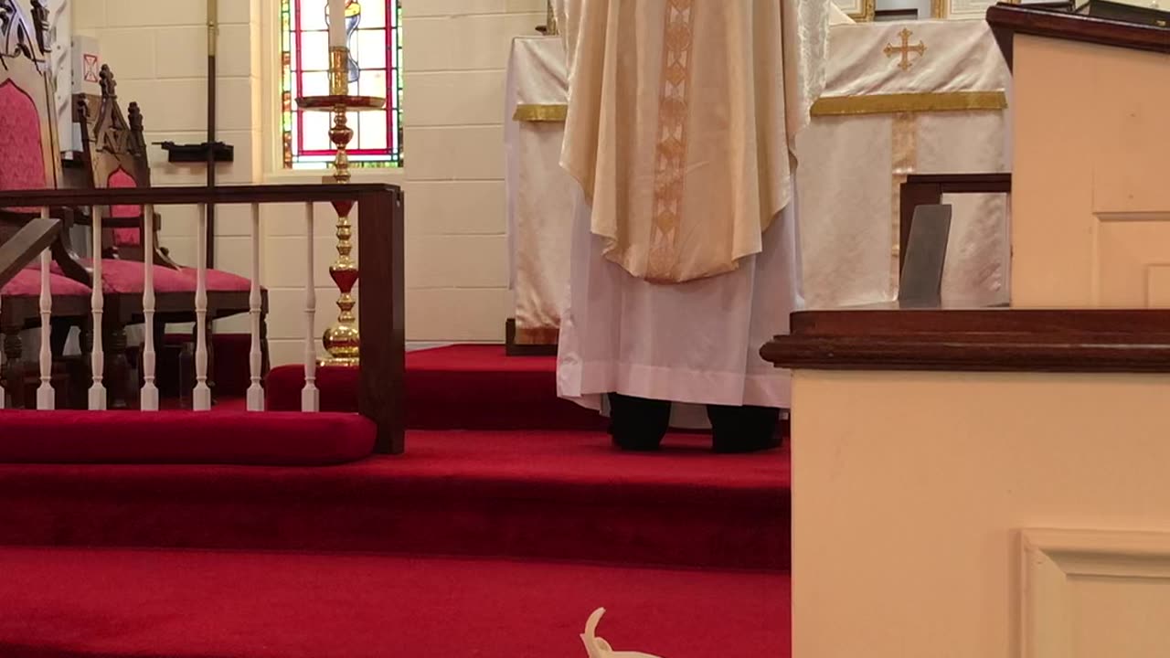 Fr. Crowder’s sermon from Easter II Good Shepherd Sunday