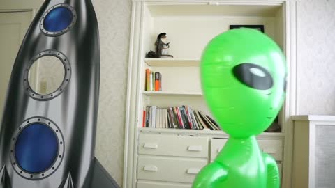 Dog Unimpressed by Alien Invasion Funny Dog Maymo