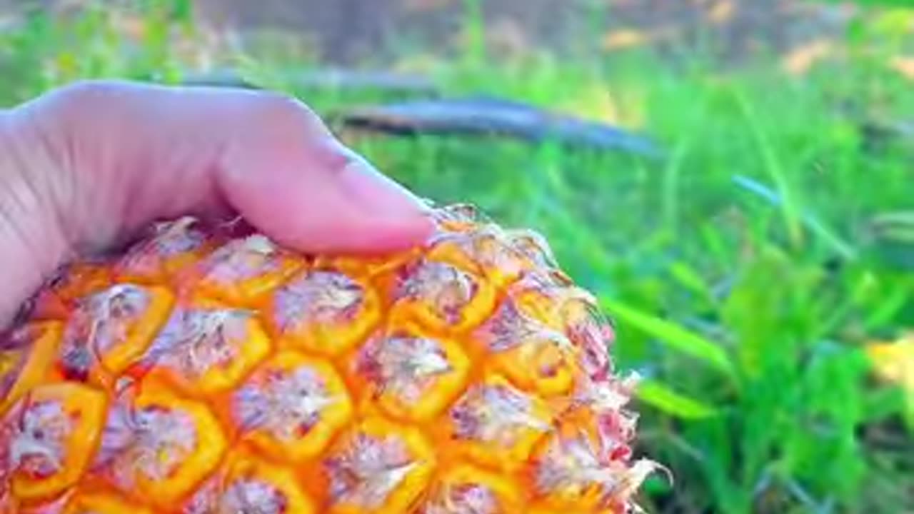 Pineapple 🍍Fruits Cutting🍒🍓🍊🥝#201#shortvideo 💥#hadhik afa😍😘