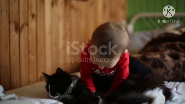 Funny cat playing with baby