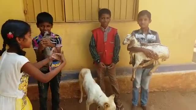 CLASS_1 My Pet Animals...Come come cat ... (Rhyme) by SREENIVASULU BIKKI.Kalyandurg.ANANTAPUR