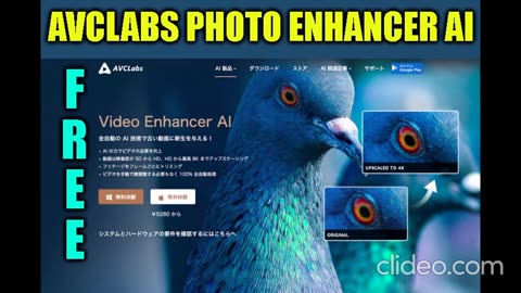 AVCLabs Photo Enhancer AI Cracked - AI-Powered Photo Enhancement Tool