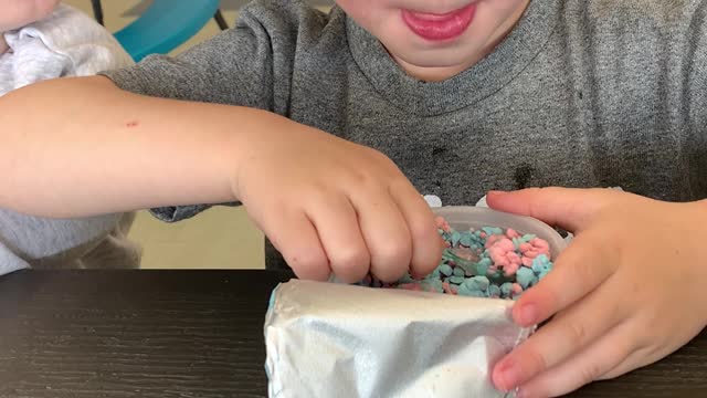 Toddler Makes Two-Bite Rule When Sharing Ice Cream With Brother