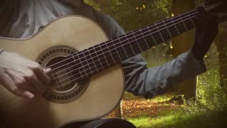 O Choro de Juliana by Marco Pereira / guitar solo cover