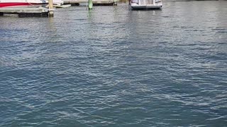 Big Rig Boat Cruises By