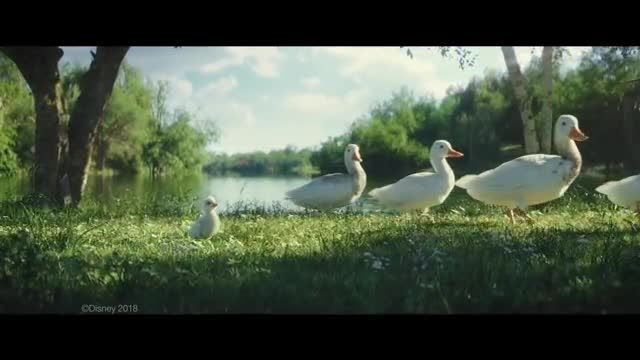 2018 The Little Duck - Disneyland Paris commercial_Cut