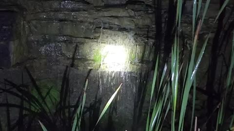 Natural spring after rain with a little light to see