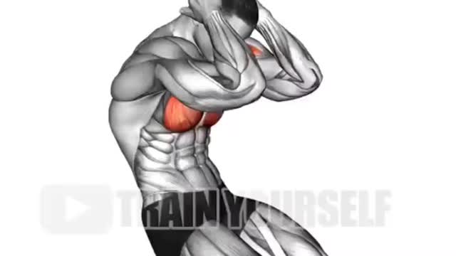 Best Morning Stretching Exercises Before And After Workouts