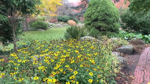 The most peaceful yet beautiful garden you will ever see