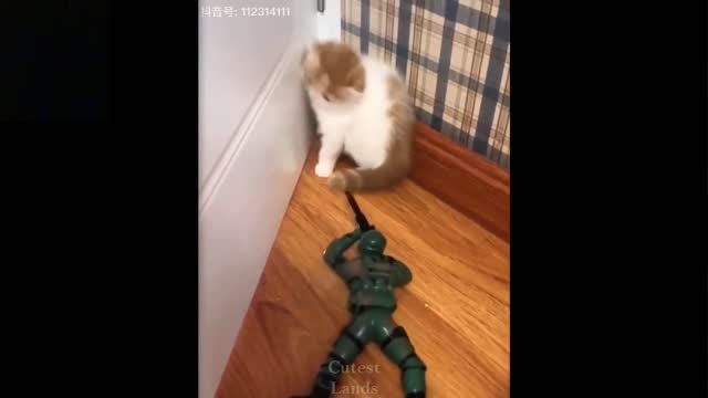 Cute And Funny Pets