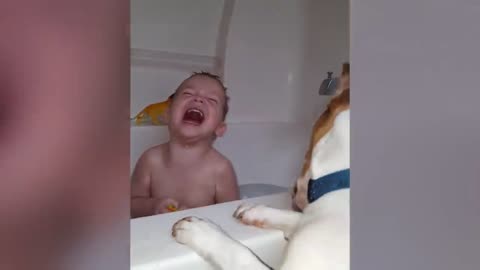 Funniest Kids And Animals Compilation Ever _ Funny Pet Videos