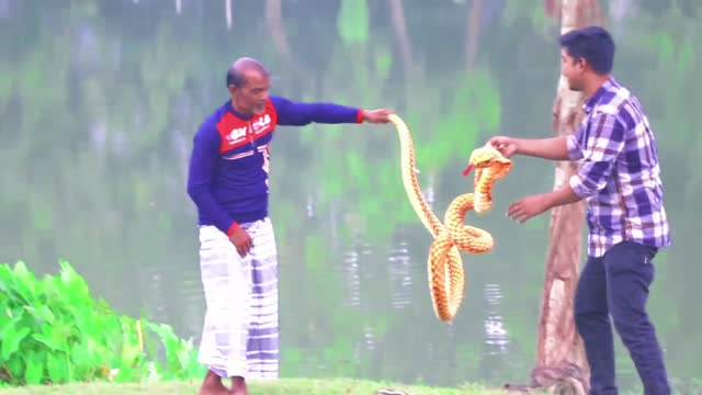 Snake Prank Funny video