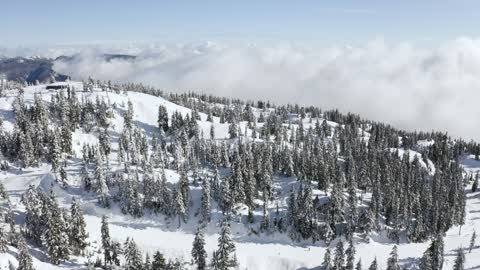 beautiful snow scene