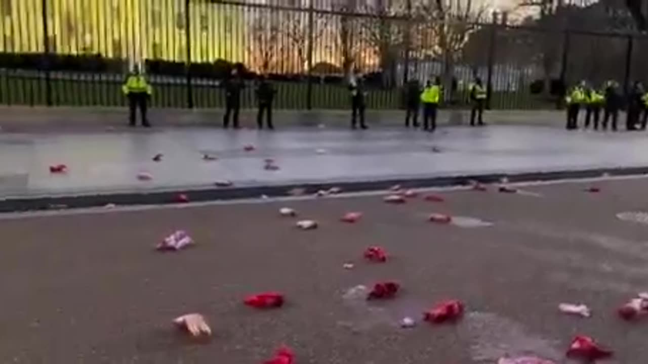 Protesters in America throw bloody dolls at the White House #shorts #viral