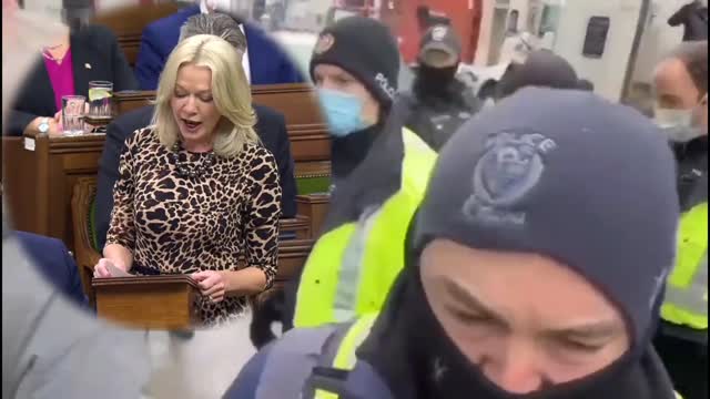 Freedom Convoy Updates