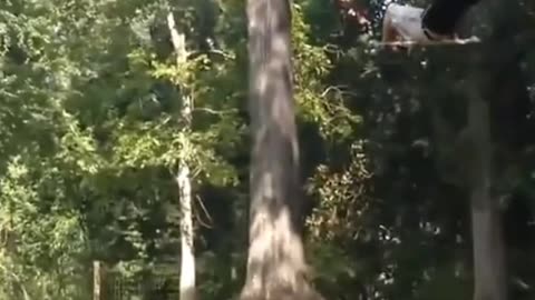 Funny video memes