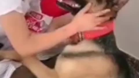 Girl's helping dog