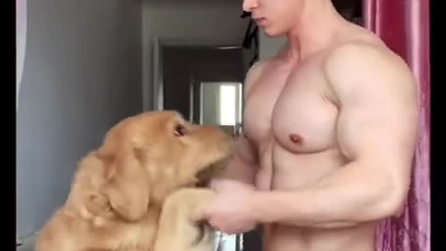 Funny dance in dog