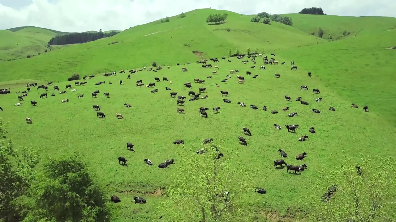 প্রেমের সঙ্গীত, তোমার ছোঁয়া