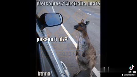Australia Love