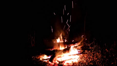 🔥 Campfire Ambience with Night Animals such as Owls and Crickets. Made for Relaxation & Sleep, Enjoy