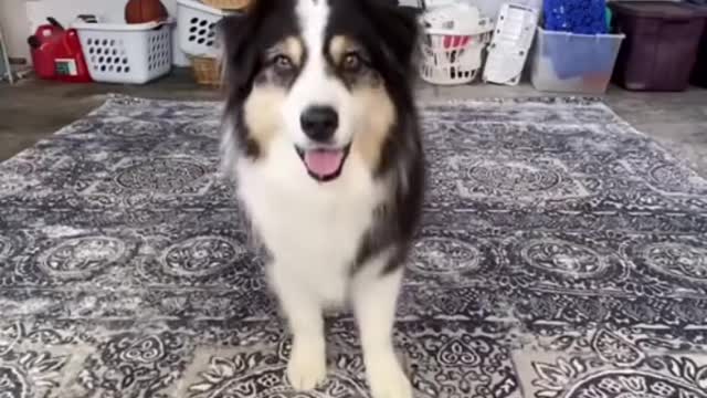 Sooo cuteš„°