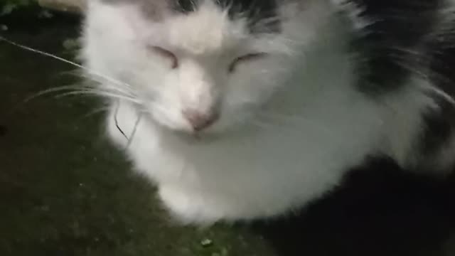 Lagi ngantuk yah???