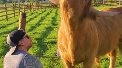 #CuteBabyAnimals #Funny #daily #Shorts #amushorts #rumble C174